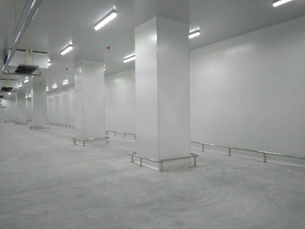 建造200噸的肉類冷鏈冷凍庫如何做好規(guī)劃設(shè)計？