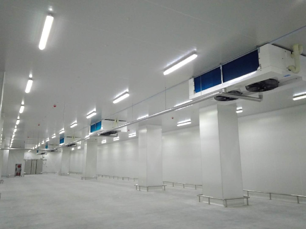 建造40000㎡低溫冷藏庫需要的費用是多少？