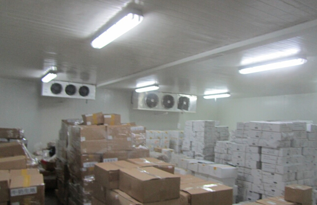 -18~-25℃冷凍榴蓮肉冷庫設備，冷庫造價及耗電量多少/天