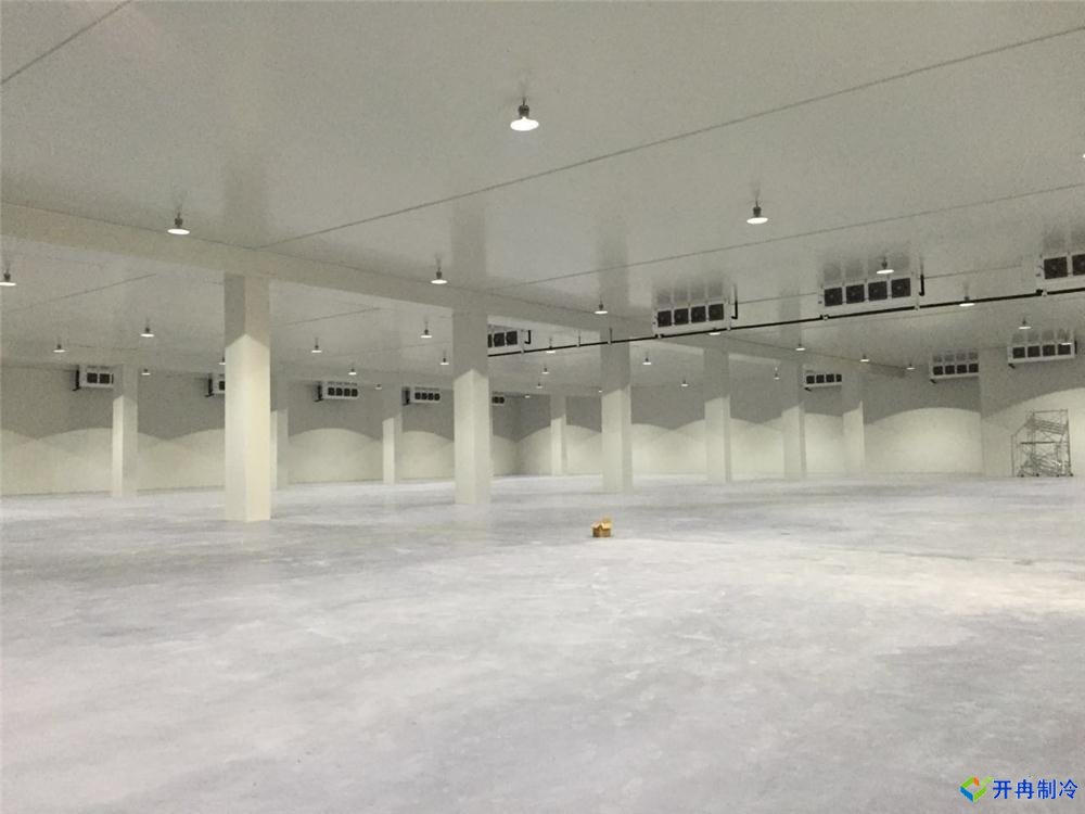 浙江建-60℃金槍魚超低溫冷庫(kù)，冷庫(kù)總價(jià)預(yù)算多少